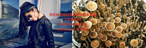 твердый Алексеевка